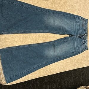 American Eagle Outfitters Blue Flare Jeans